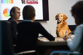 Saint Fidèle Sens du client