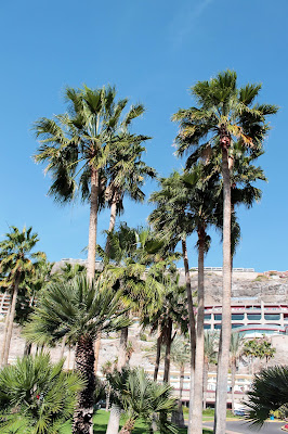 playa de amadores co zobaczyć na gran canarii