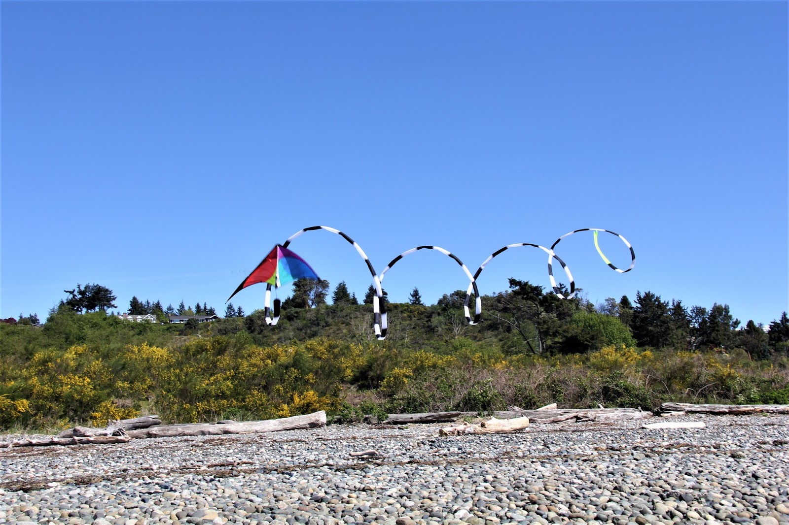 Shoreline Area News Photos Sunday Kite Flying at Richmond Beach