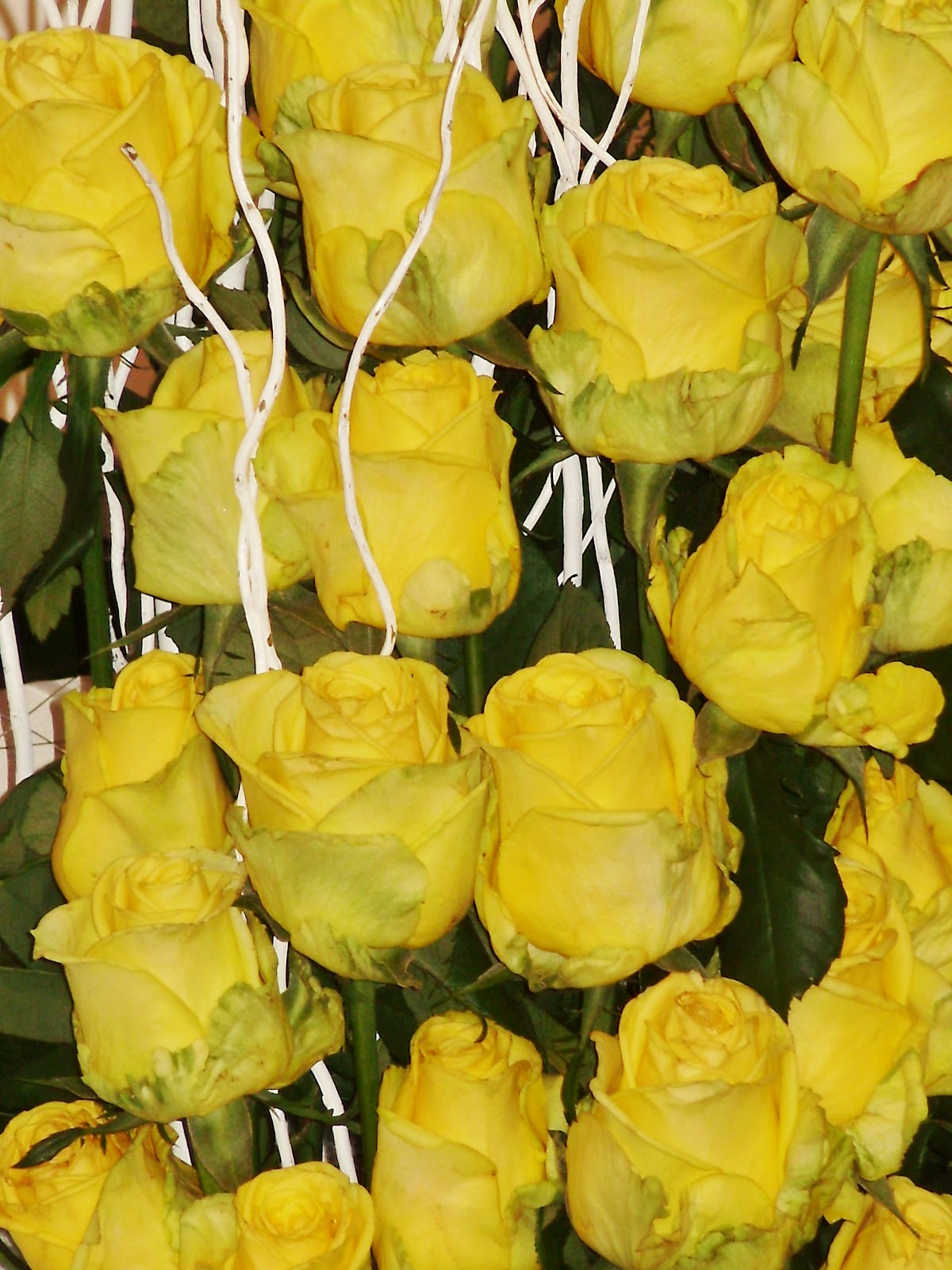 DK's Craft Café: Happy Easter! Roses for You :)