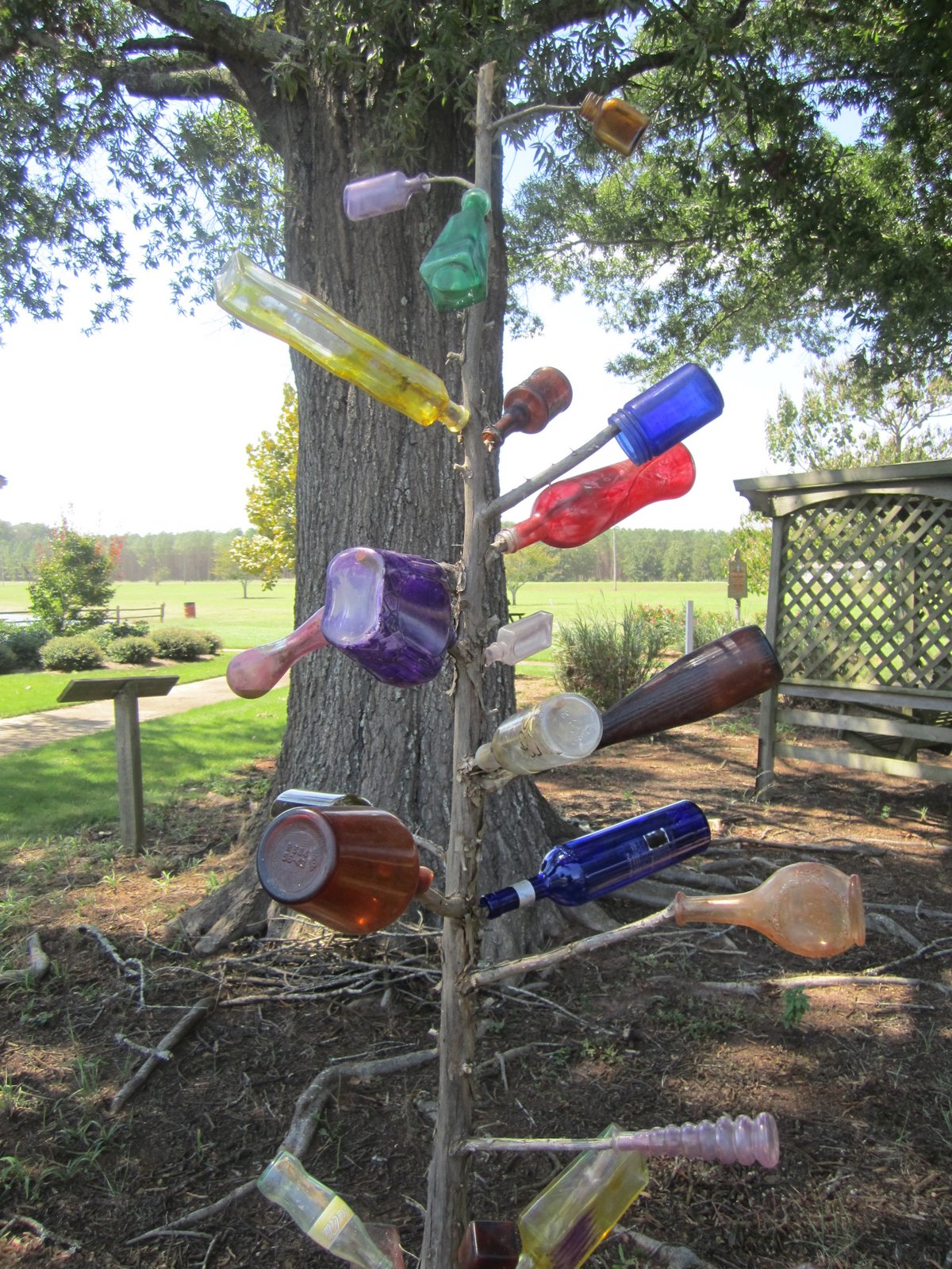 Sailing Down The Road Bottle TreesA southern tradition