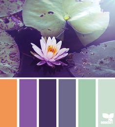 Purpura