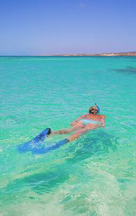 10 Attractive Beaches in Australia to Spend Your Vacation 10 Attractive Beaches in Australia to Spend Your Vacation