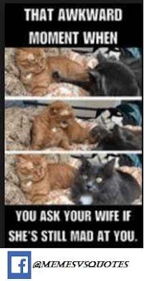 That awkward moment meme Wife Meme