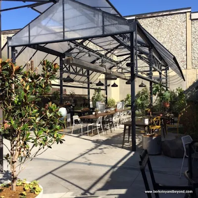 back patio at Mission Heirloom Cafe in Berkeley, California