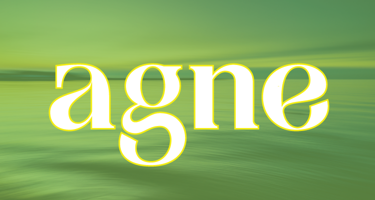 Agne Free Font For Commercial Use Agne Font Preview
