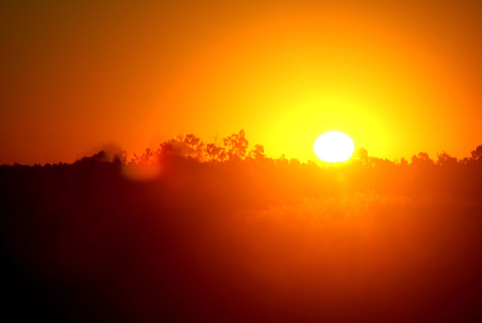 TBW Deadly Texas heat wave kills four and is the hottest summer since 1994