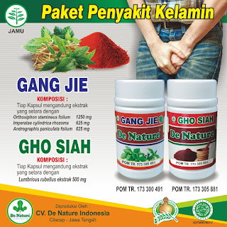 paket obat herbal untuk kencing nanah gonore