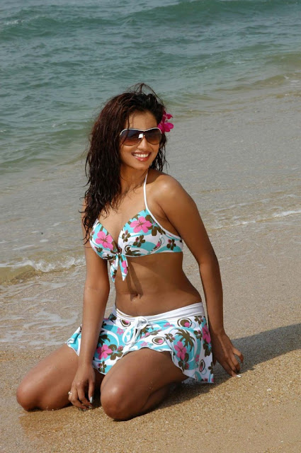 Telugu Cinema Wallpapers Actress Dimple Chopda Hot Bikini