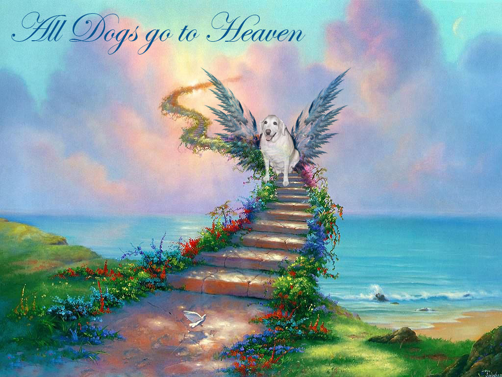 All Dogs Go To Heaven 1989 Boldpiratebay all-dogs-go-to-heaven-1989-boldpiratebay