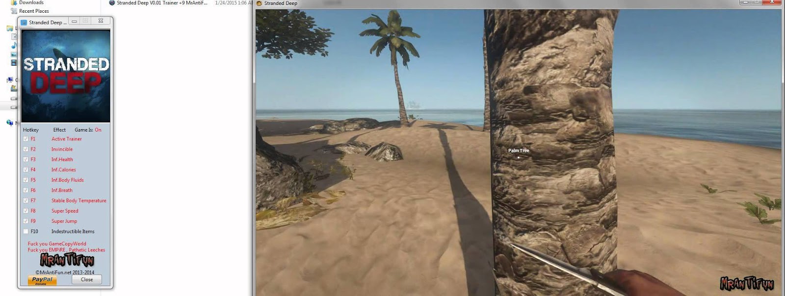 Hello USA: stranded deep cheats