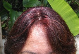 The Natural Idea What Can I Use Now That Clairol Loving Care Is After Lying Clairol Beautiful Collection Hair Color