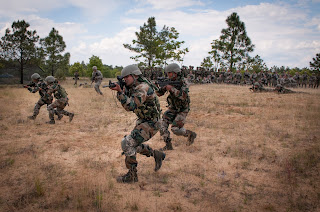 Difference between Artillery, Infantry and Cavalry Difference between Artillery, Infantry and Cavalry