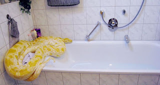 ���� ���� ������ b42787b33925b8e73055f5f31b4a2bcb.jpg