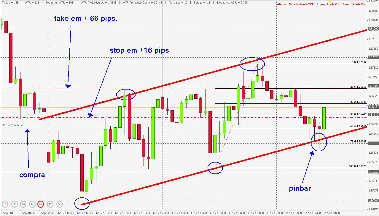 Pip forex significado
