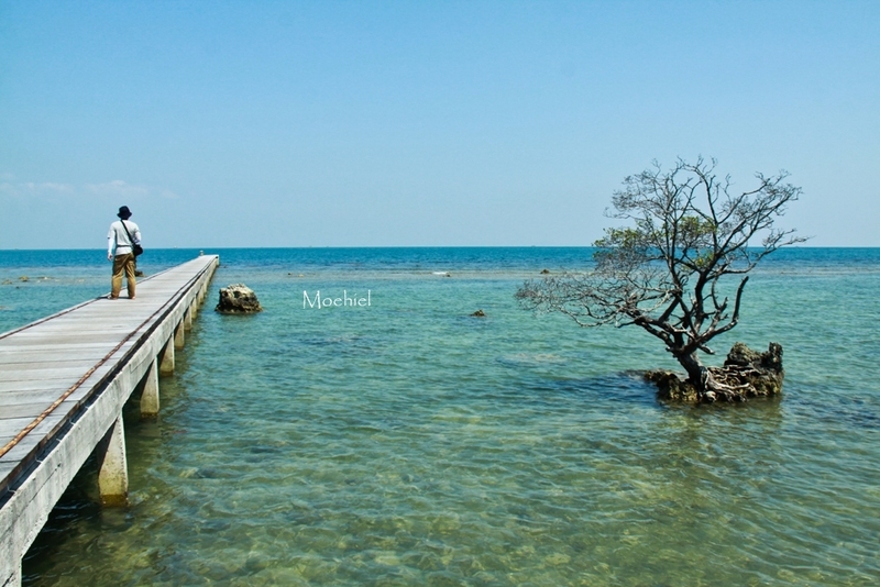 info karimun jawa islands: keindahan pulau panjang kota jepara