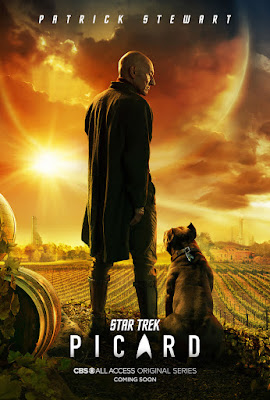 Star Trek Picard Series Poster 2