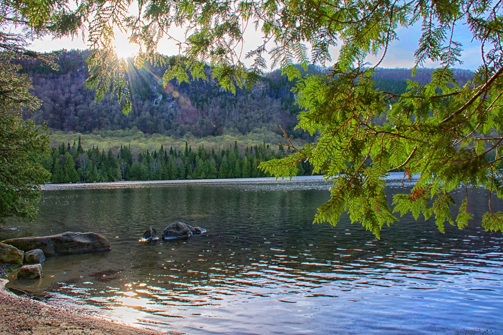Carol's View Of New England Jobs Pond Westmore VT