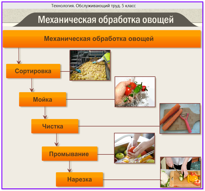 5 обработка овощей