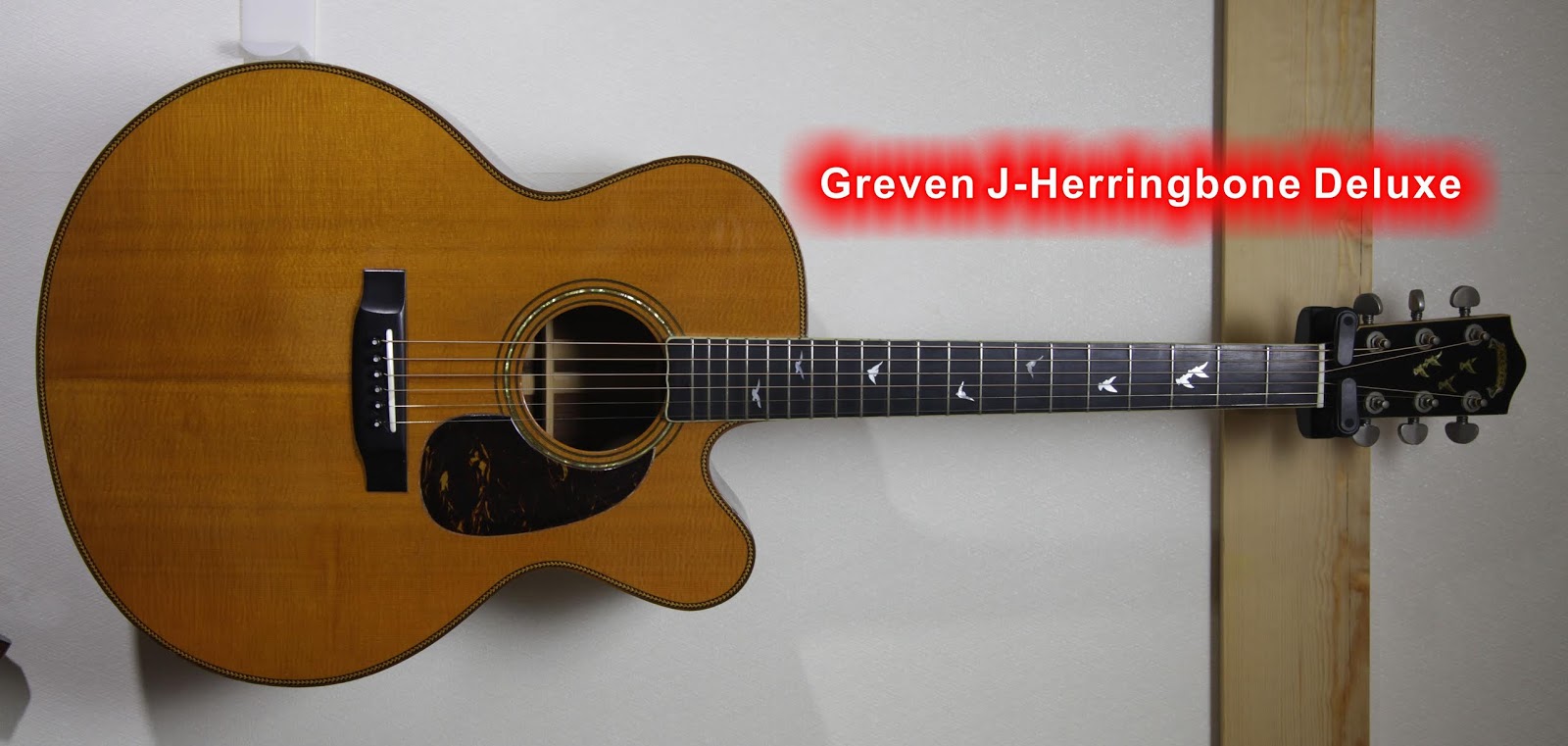 ギターでハッピー Lowden Greven 入院