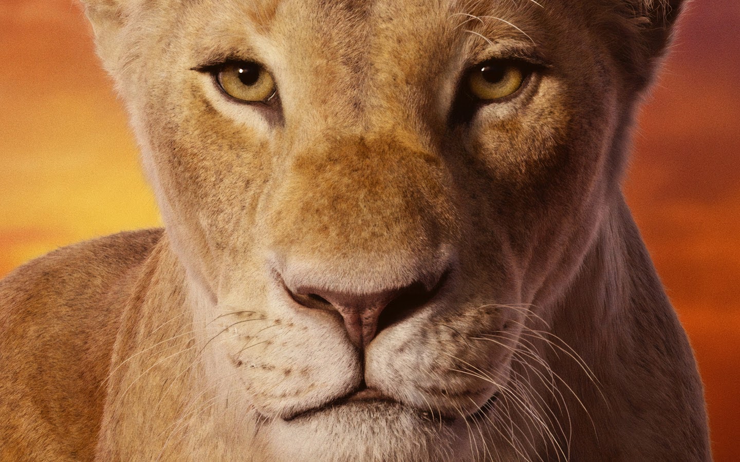 The Lion King, 2019, Nala, 4K, 22 Wallpaper PC Desktop