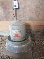 chicken water heater coop resourceful simply winter