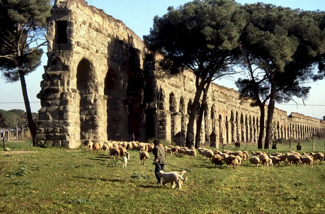 Parco degli Acquedotti Roma e Lazio x te