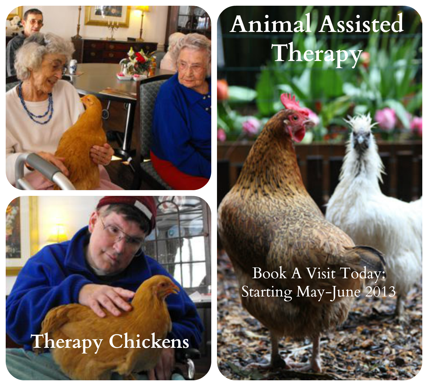 SUMMER GIRL CHICKS Therapy & Classroom Rentals