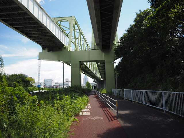横浜　金沢地区　自転車レーン