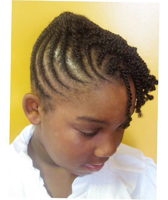 African American Hairstyles Braids For Kids Photo