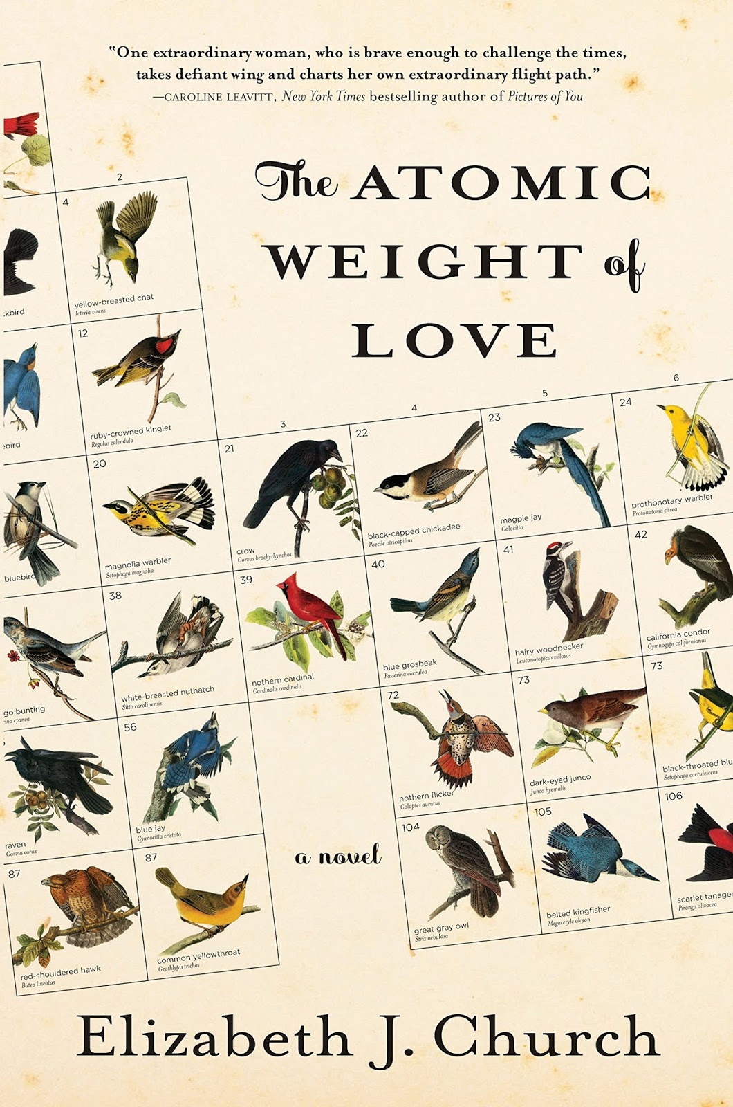 book review the atomic weight of love