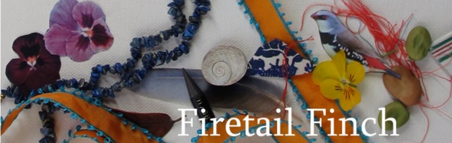 Firetail Finch Blog
