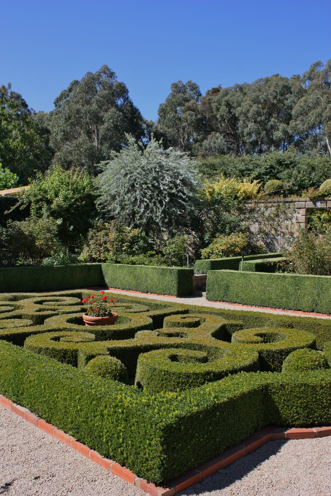 Eden Design: A visit to Sunnymead inspirational garden.....