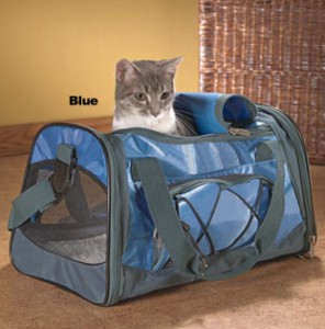 Cat Travel Tips Cat Travel Tips