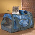 Cat Travel Tips