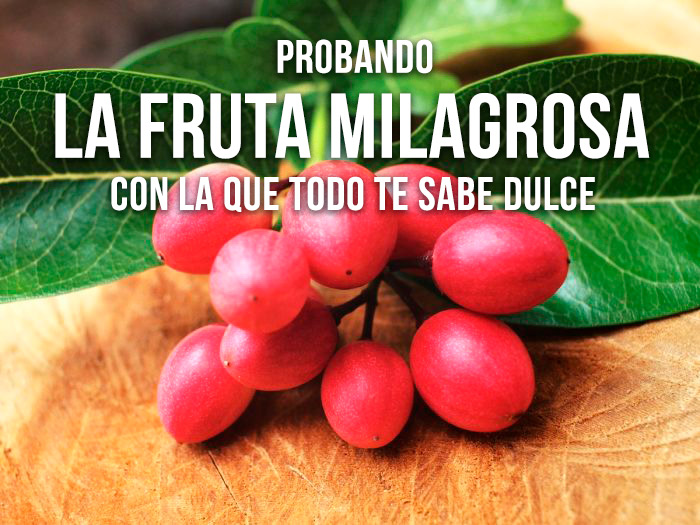 Probando la Fruta Milagrosa Ledidi que te hace sentir dulce al comer