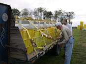 Grape Harvest