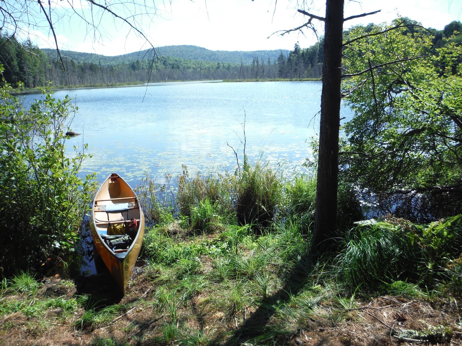 Essex Chain Lakes Canoeing In The Central Adirondacks