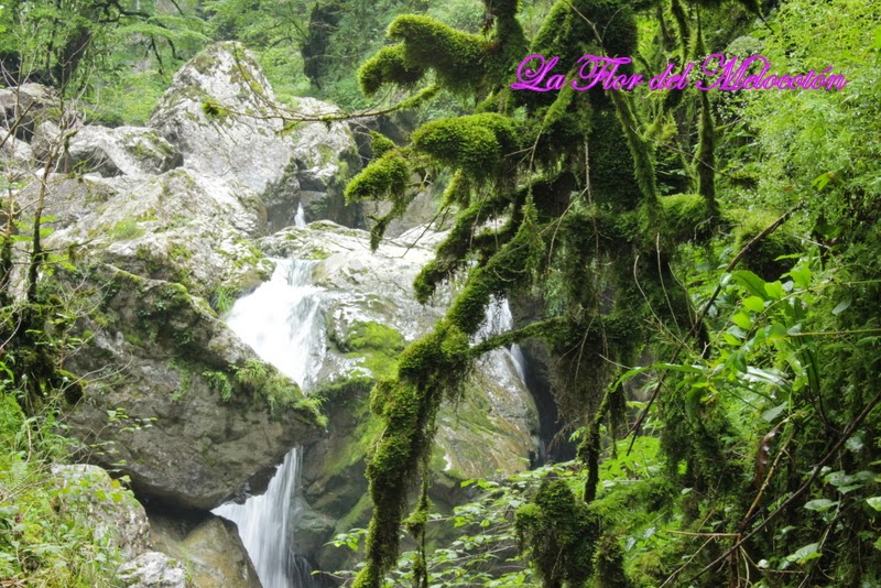 Gargantas de Kakueta