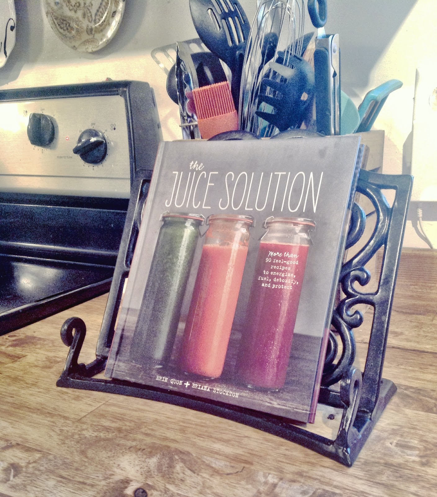 Sheila Atchley Designs A Vitamix Recipe "Really Easy Grape Juice With