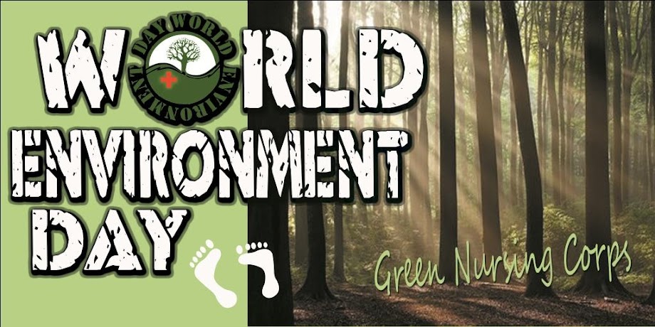 World Environment Day 2012