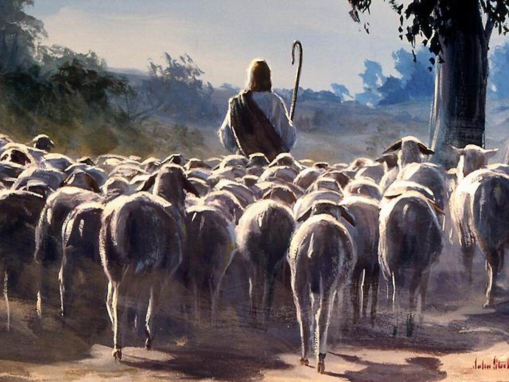 ULTIMA ADVERTENCIA Yo soy el buen pastor; y conozco mis ovejas, y las mías me conocen ULTIMA ADVERTENCIA Yo soy el buen pastor; y conozco mis ovejas, y las mías me conocen