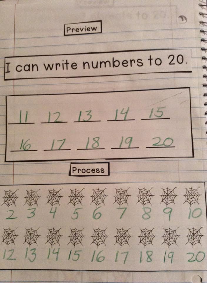 http://www.teacherspayteachers.com/Product/Interactive-Student-Notebook-Numbers-to-20-1525824