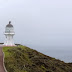 北島旅行(五) Cape Reinga角 九十英浬海灘