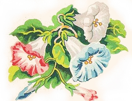 Image ancienne fleur vintage Image ancienne fleur vintage