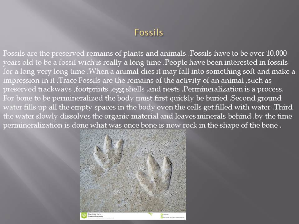 GSA South Enrichment Paleontology Presentation 4th grade