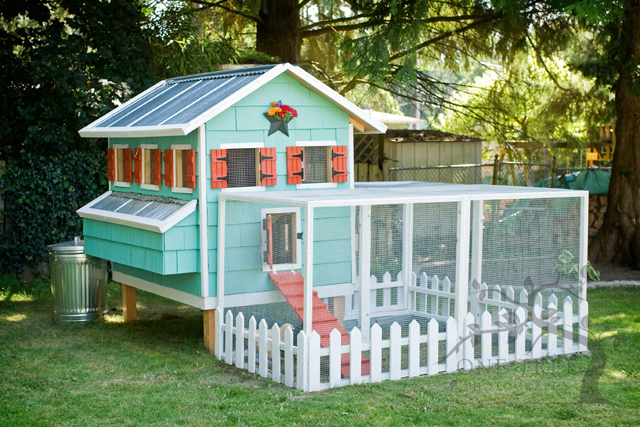 Peace, Love, & Homesteading Chicken Coop Inspiration