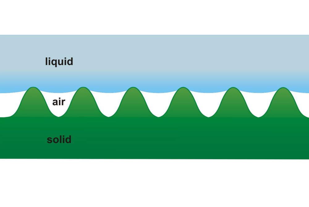 Jehuite ¿Qué es y cómo funciona el efecto loto?