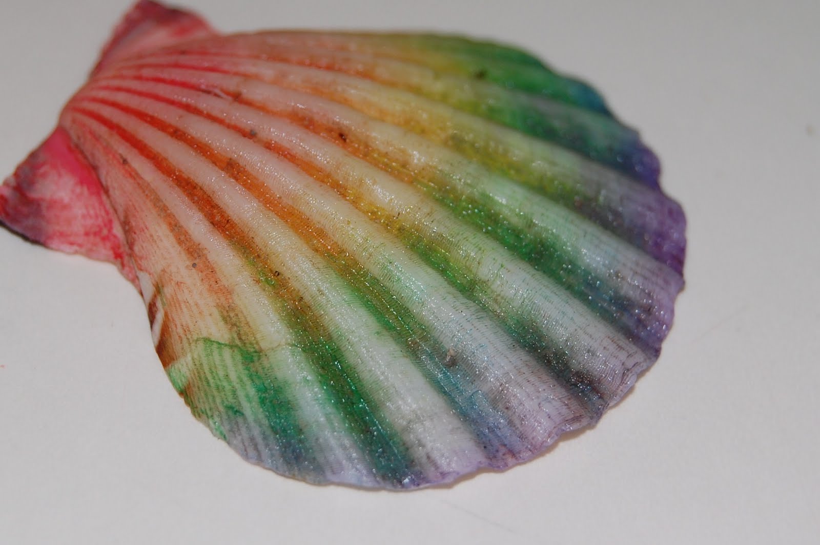Our Creative Day Rainbow Shells