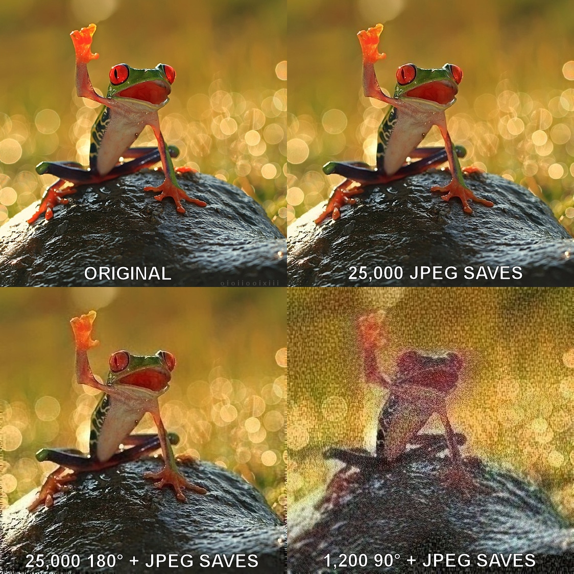 ffmpeg rotate video 90